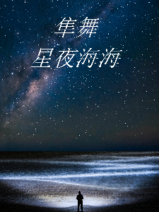 隼舞之星夜海海