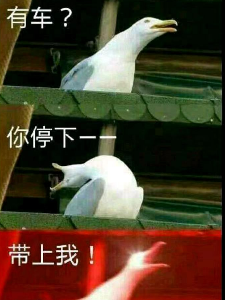 灾变之后，成为调查员！