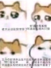 艾尔登修罗