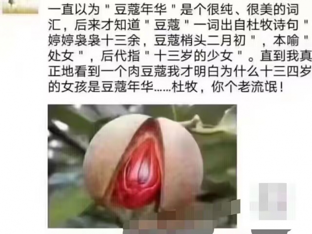 豆蔻年华