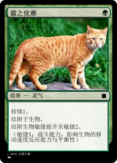 猫之优雅