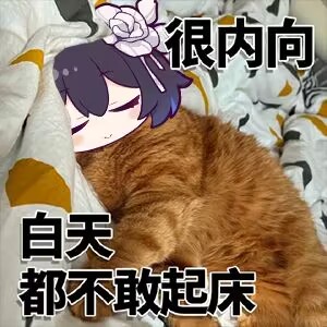 希儿猫猫