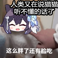 希猫猫可爱喵