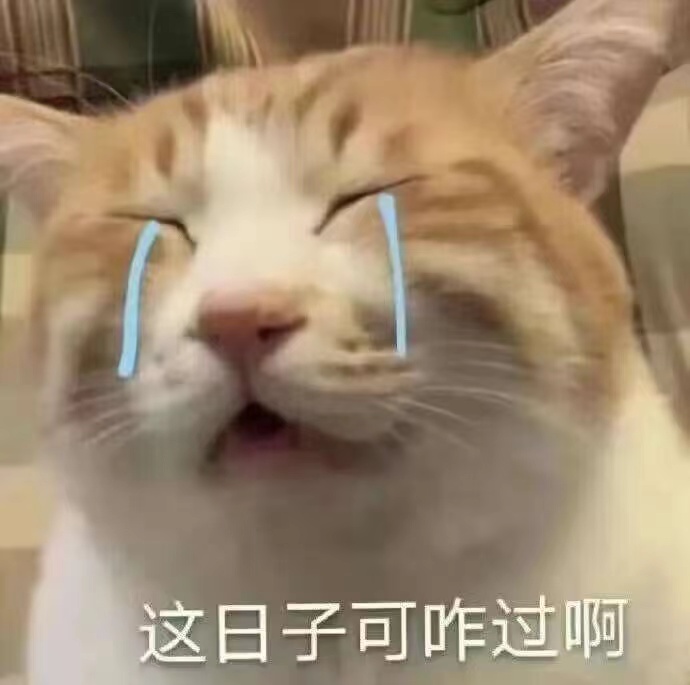 痛苦猫猫脸