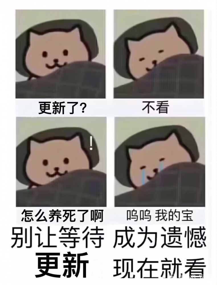 今日弔图