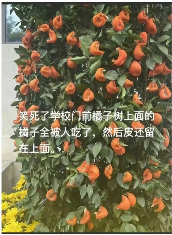 离谱