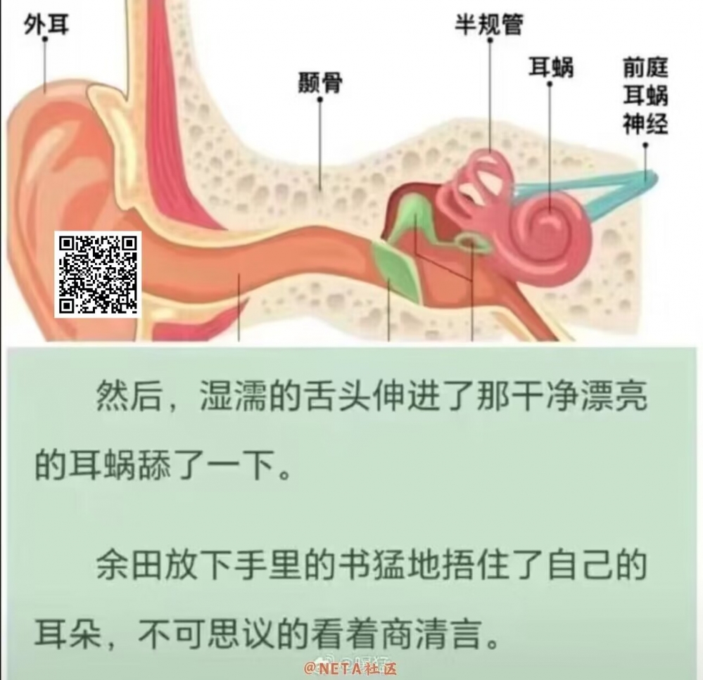 沙雕图