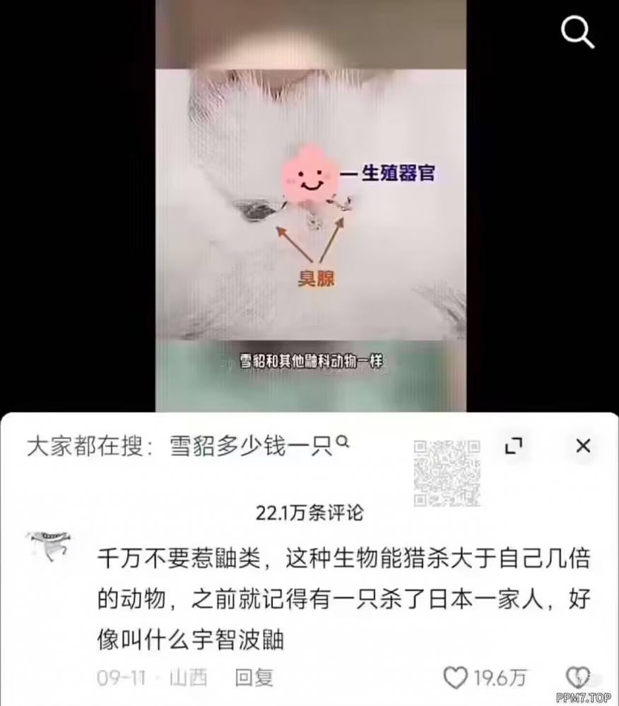 我嘞个杀人小动物啊