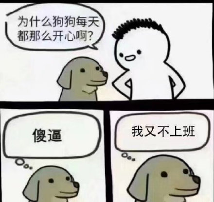 坏狗