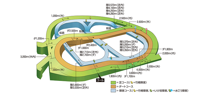 中山赛场立体图