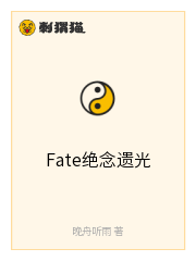 Fate绝念遗光